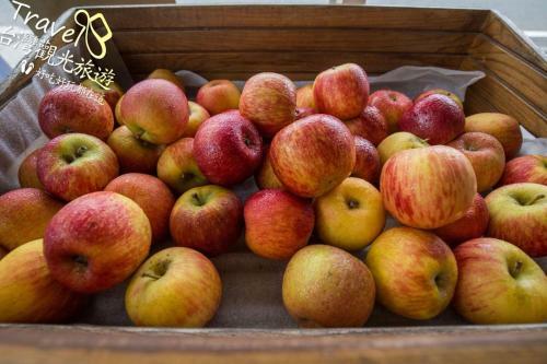 Nantou Fruit House