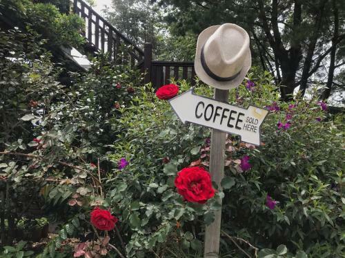 Tian Hsiang Tea B&B