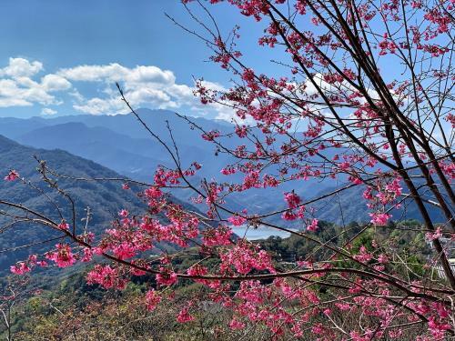 Tian Hsiang Tea B&B