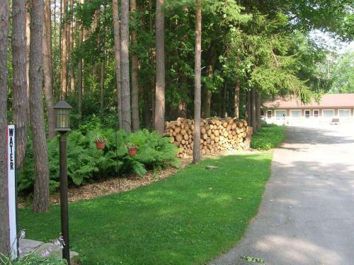 Hotel Forest Motel & Woodland Retreat