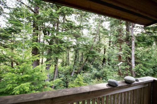 Hotel Reef Point Cottages