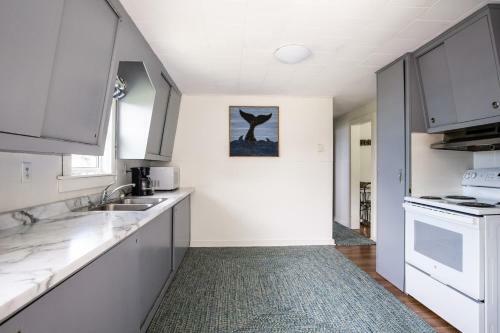 Hotel Friars Bay Inn & Cottages