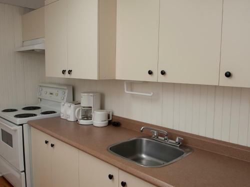 Au Pic De L'aurore Motel-chalets