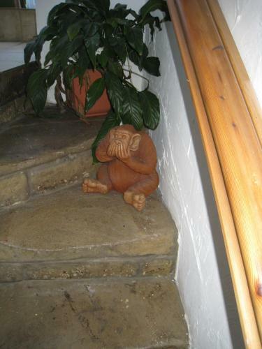 Hostal Rosebud Cottage Guest House