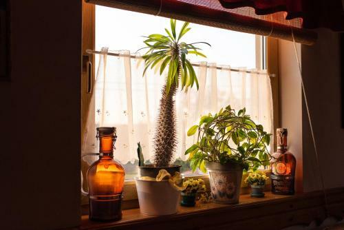 Hostal Andrea Wellness Panzi�