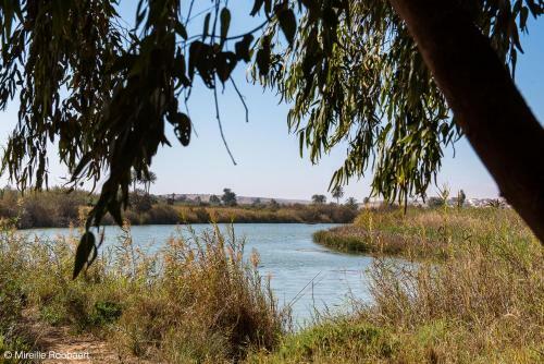 Bed & Breakfast Dar Maktoub