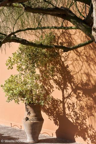 Bed & Breakfast Dar Maktoub