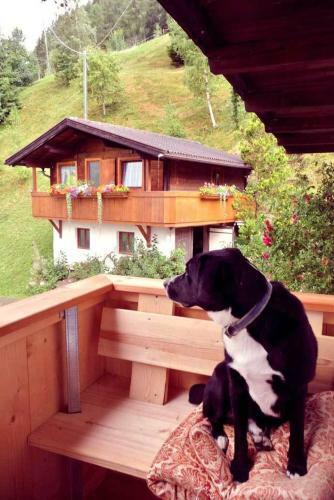 Agroturismo Rastnerhof