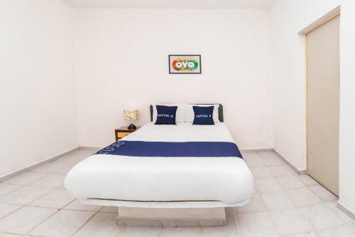 Hotel Juarez 571