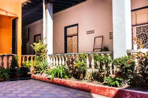 Hotel Juarez 571