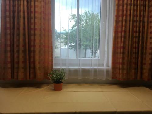 Albergue Junge Hotels Obertrum