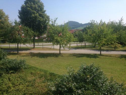 Albergue Junge Hotels Obertrum