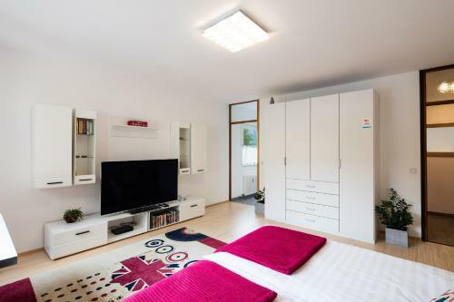 W & S Executive Apartments - Obertraun