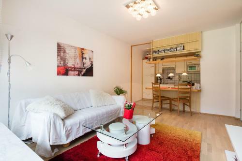 W & S Executive Apartments - Obertraun