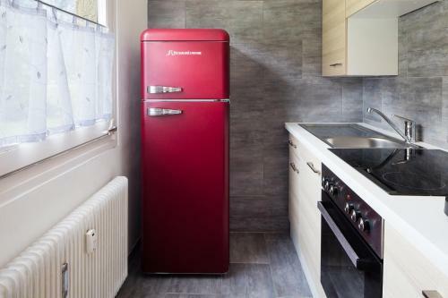 W & S Executive Apartments - Obertraun