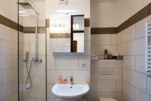 W & S Executive Apartments - Obertraun