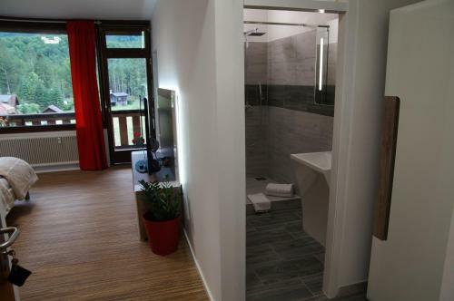 W & S Executive Apartments - Obertraun