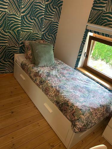 Hostal Room In Guest Room - Bedroom And Small Private Bathroom