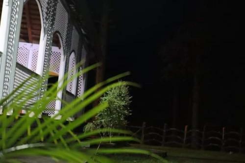 Hotel Haveli One