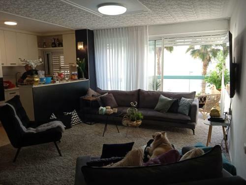 Joy Apartments