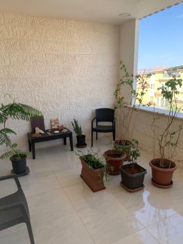 Madam Andree Hostel