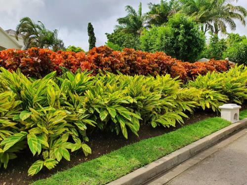 Royal Palm Villa 2, 3 And 6