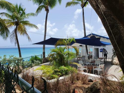 Royal Palm Villa 2, 3 And 6