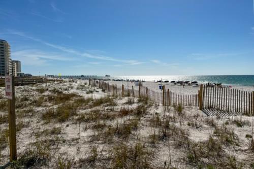 Island Shores 156