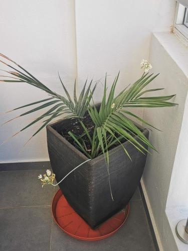 Apartamento Airbnsea Centre Apt 401
