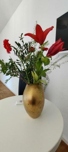 Apartamento Freihof Appartement