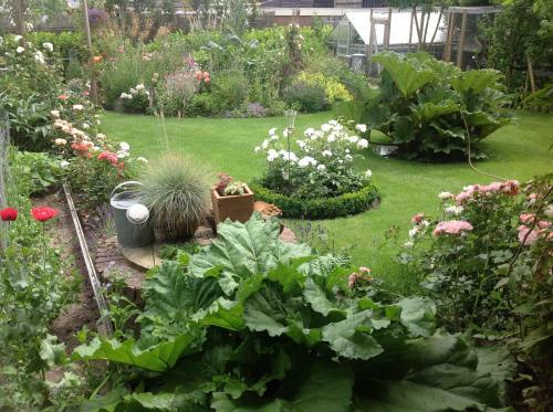 Bed & Breakfast Catherina Hoeve