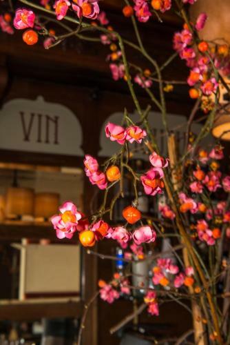 Hotel Restaurant Belv�d�re