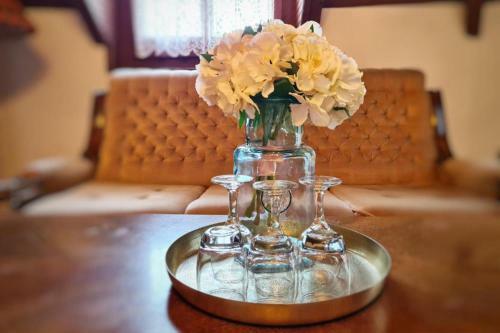 Hostal Agas Vendeghaz