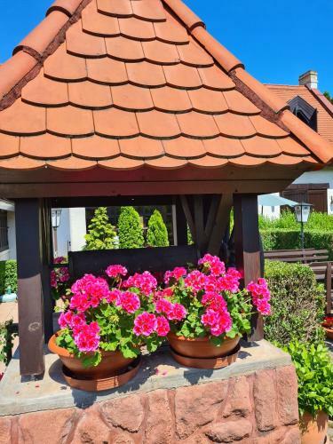 Hostal Agas Vendeghaz