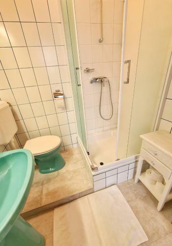 Hostal Agas Vendeghaz