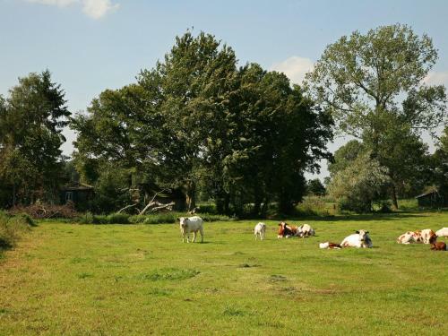 Agroturismo Holiday Home De Grenswachterde Schoppe Aalten