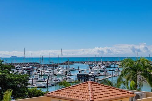 Apartamento ? Shingley By The Bay Studio ?