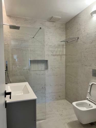 Luxury Apartment