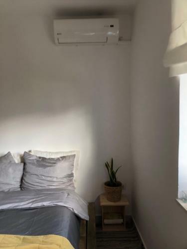 Midcentury Modern 1 Bedroom Apartment In Tirana