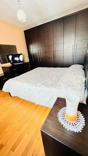Apartment In Center Tirana
