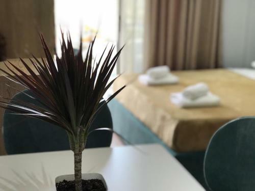 Apartamento Savi Accomodations Suite Lungomare
