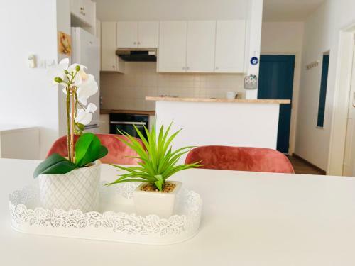 Apartamento Golden Palms Regina Gardens