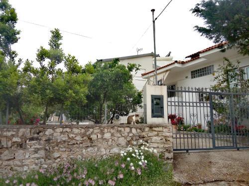Hostal Tilis Guesthouse