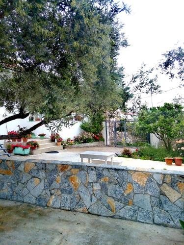 Hostal Tilis Guesthouse