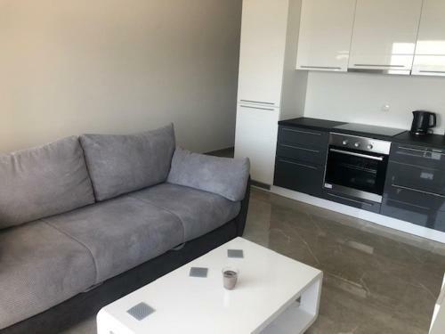 Beachfront Apartment Vir