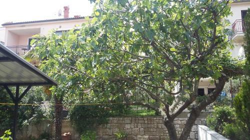 Apartamento Intrade Trsine