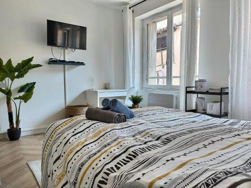 Apartamento Le Dandy - Hyper Centre - Albi