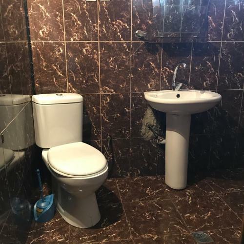 Alexander's Apartment