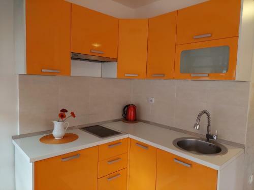 Apartment Novak