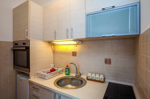 Apartment Radovic